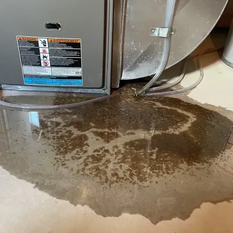 Appliance Leak Cleanup in Chinchilla, PA